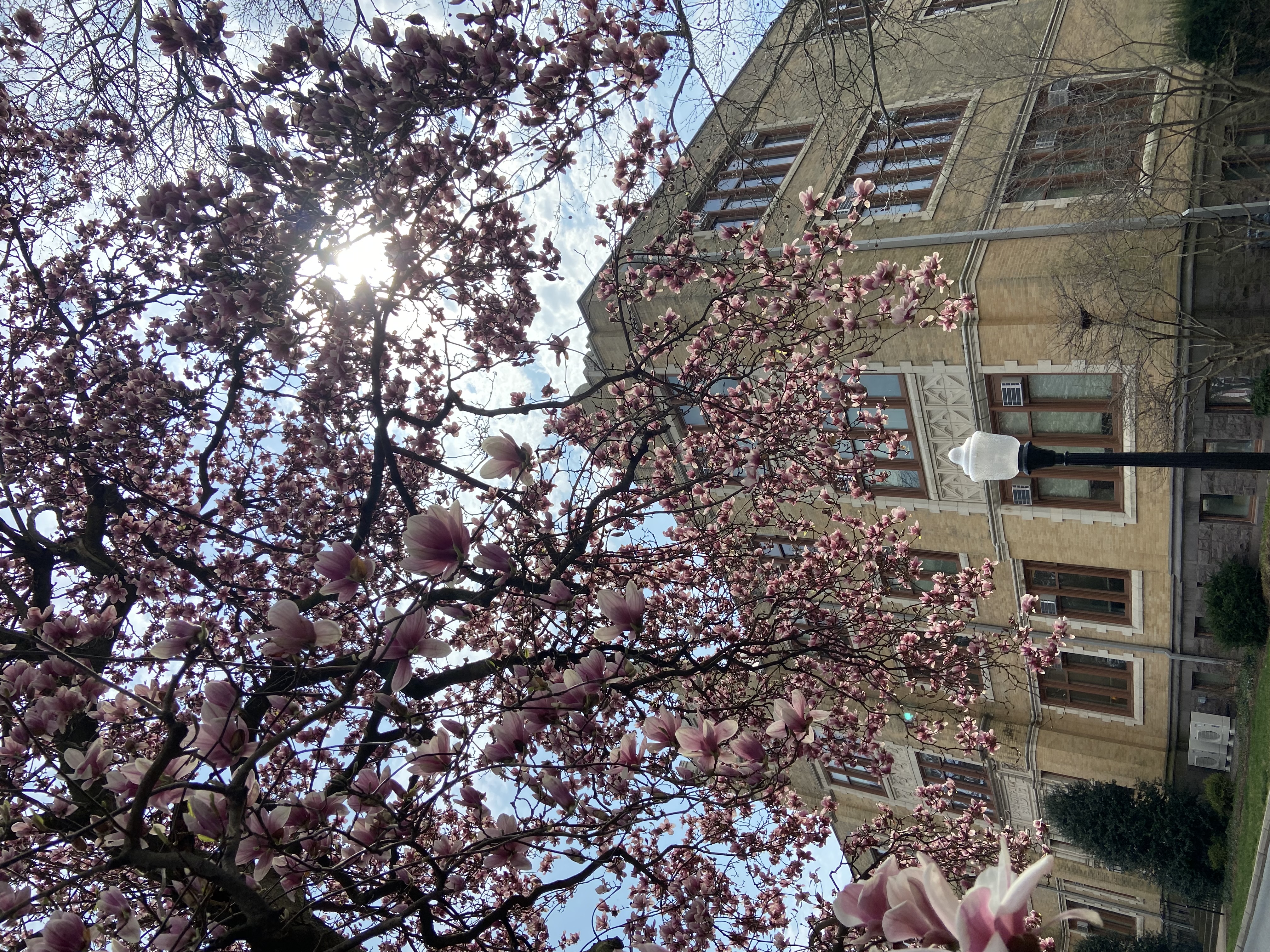 HUM-spring